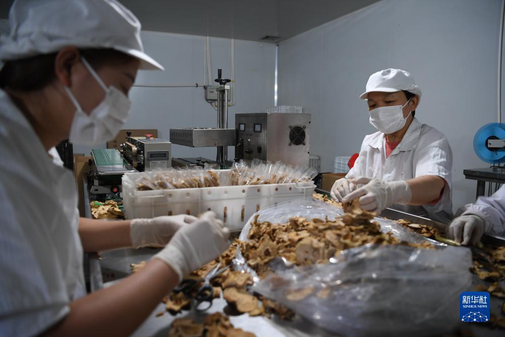 捕鱼达人ol